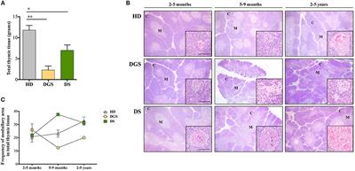 Thymic Epithelium Abnormalities in DiGeorge and Down Syndrome Patients Contribute to Dysregulation in T Cell Development